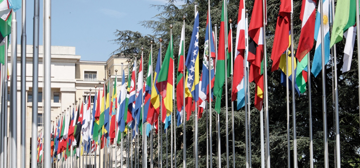 The Embassies